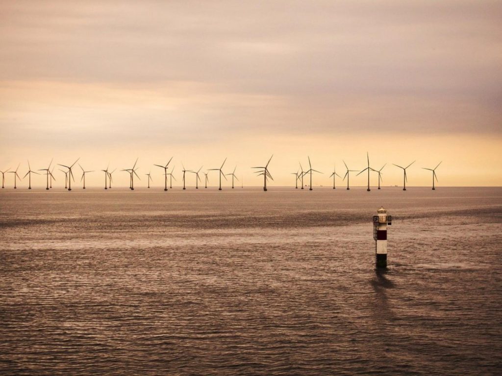 En mer du Nord, les éoliennes offshore perturbent le cycle sous-marin du carbone