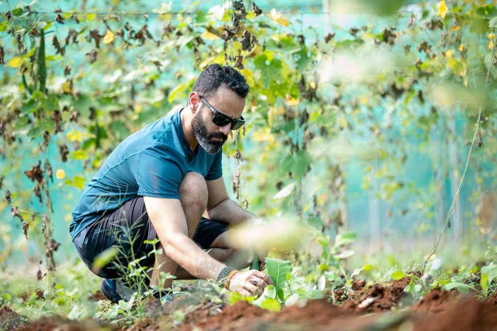 Grâce à une étude sur dix ans, l’Inrae prouve que le “zéro pesticide” est possible