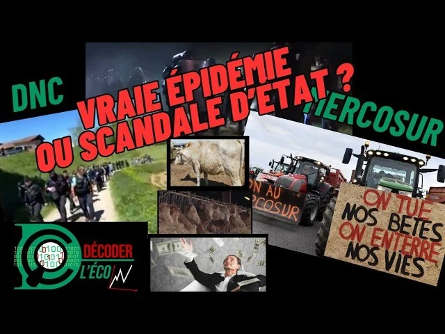 Pierre Chaillot démasque le mensonge de la DNC