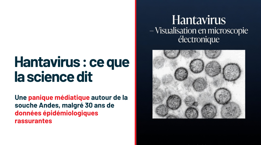 Les hantavirus, ce que la science dit : Une panique médiatique autour de la souche Andes, malgré 30 ans de données épidémiologiques rassurantes