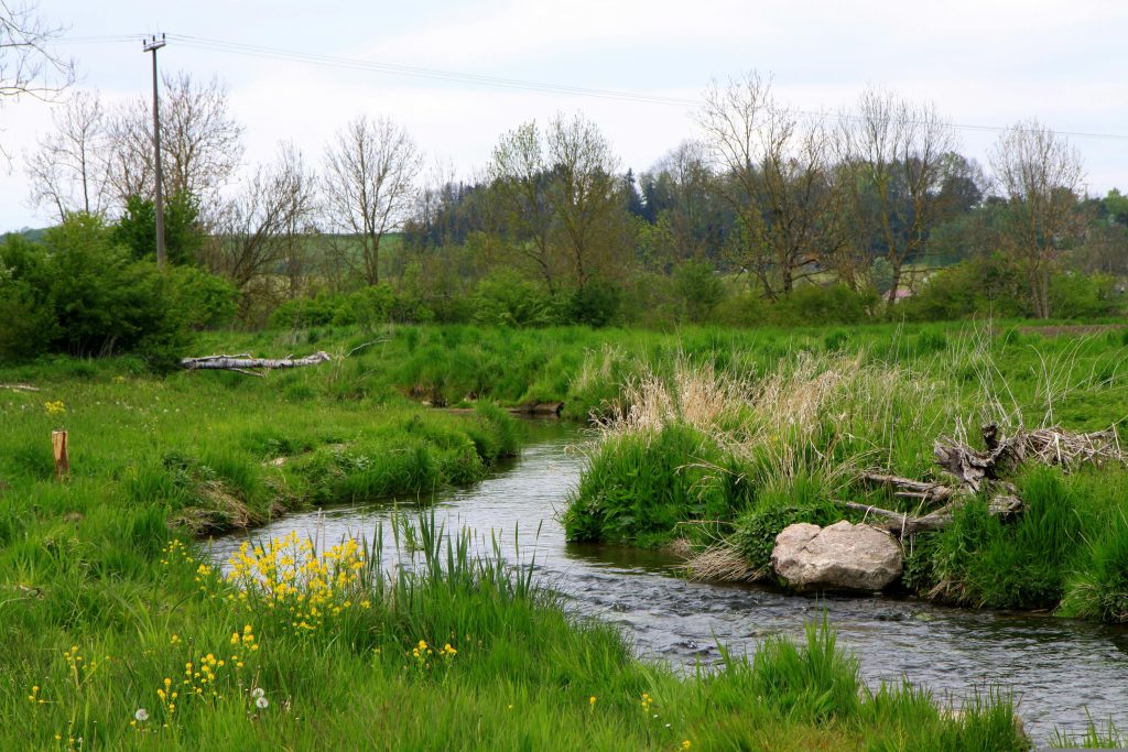 L’eau confisquée : la FNSEA dicte sa loi au gouvernement